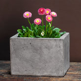 Campania Geo Planters - Fiber Cement - Set of 4